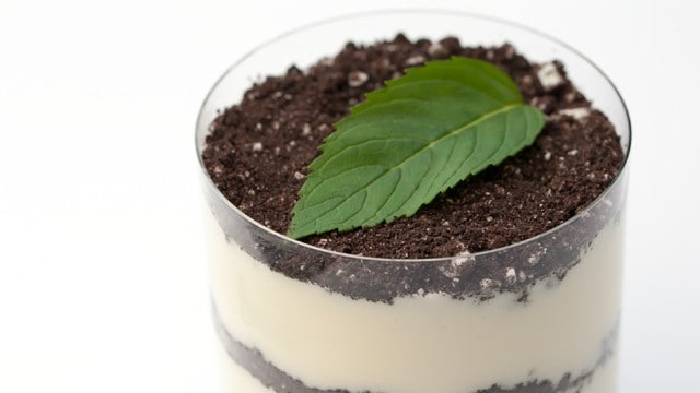 Rezept für Blumenerde mit Oreo und Mascarpone, Ricotta, Creme fraiche ...